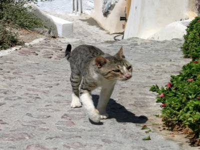 ile de Santorini