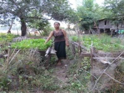 potager en carrés