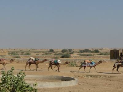Notre caravanne de drodro au complet
