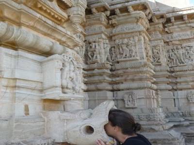 Temple absorbeur de peche