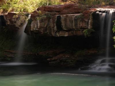 Fern pool