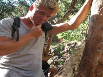 Nick, sur un arbre perché