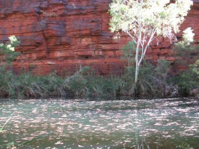 Eau stagnante dans une gorge