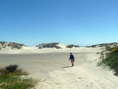 Golden Bay