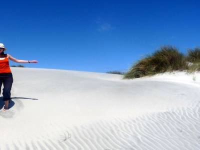 Golden Bay