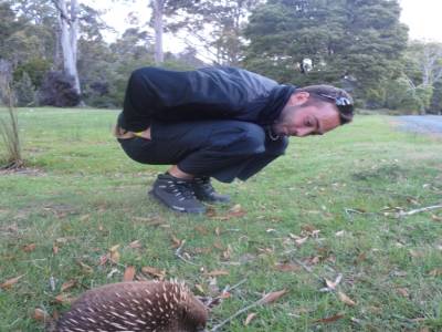 2 echidnés