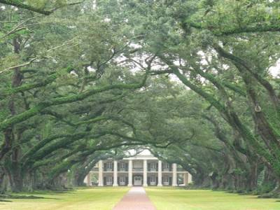 Oak Alley plantation