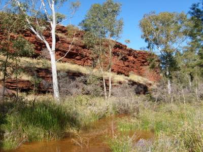 Karijini National Park, le 17/07/2011.