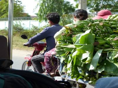 Regime de bananes (pris d'un tuk-tuk)