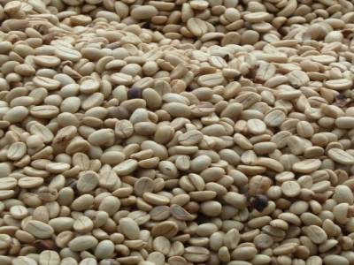 grain d ecafé