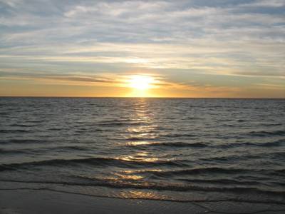 Coral bay