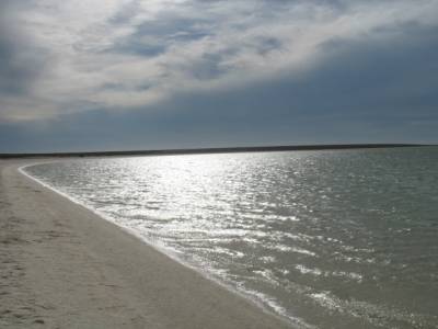 Shell beach
