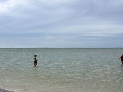Shell beach