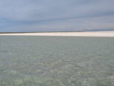 Shell beach