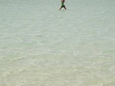 Shell beach