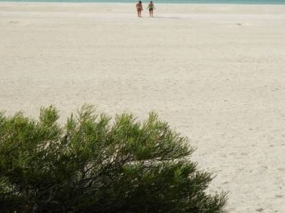 Shell beach