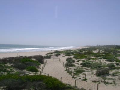 Scarborough Beach, le 6/09/2011.