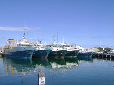 Fishing Harbour, Fremantle, le 13/09/2011.