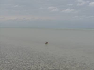 F. Peron NP: Herald bight