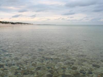 F. Peron NP: Herald bight
