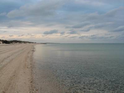 F. Peron NP: Herald bight