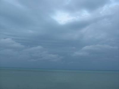 F. Peron NP: Herald bight: le soir