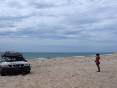 F. Peron NP: Herald bight