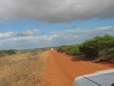 F. Peron NP: en route pour le cap peron tout au nord de Shark Bay