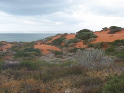 Cap Peron