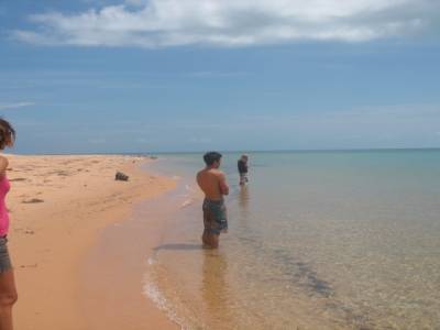 Bottle bay