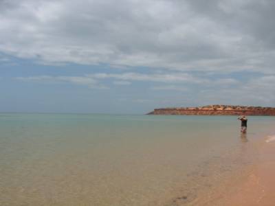 Bottle bay