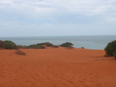 Bottle bay