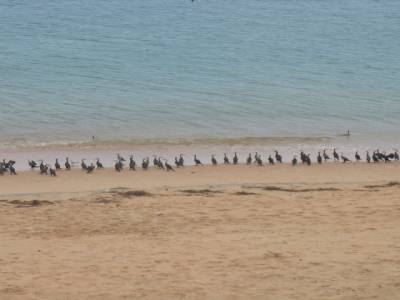 Bottle bay