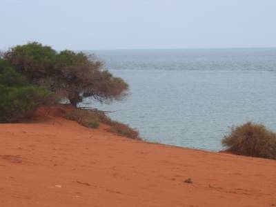 Bottle bay
