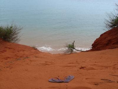 Bottle bay