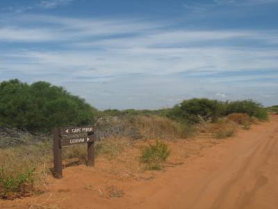 F. Peron NP