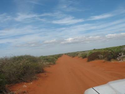 F. Peron NP
