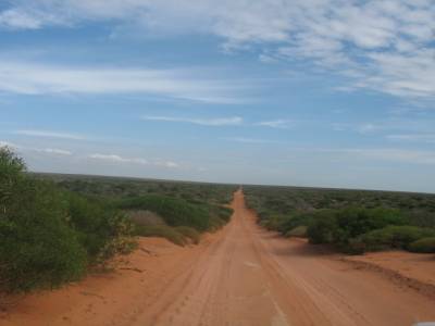 F. Peron NP