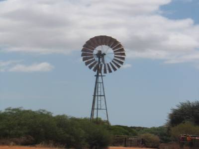 F. Peron NP: Peron Homestead