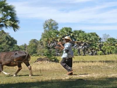 Campagne d'Angkor