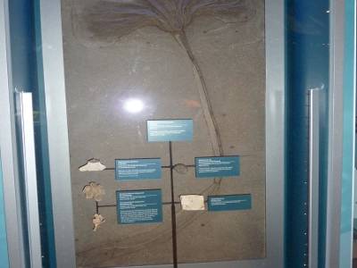 La salle marine au Musée National de l'Histoire