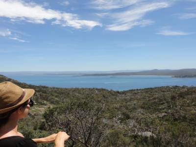 Freycinet