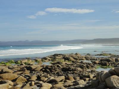 Freycinet
