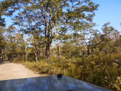 safari jeep dans le parc