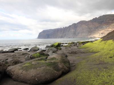 Plage de Los Gigantes