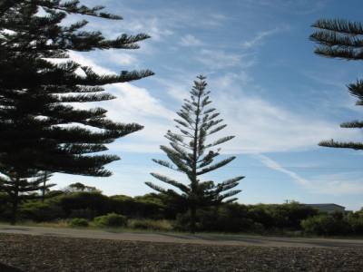 Jurien