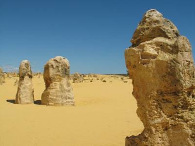 The pinnacles - Nambung N.P.
