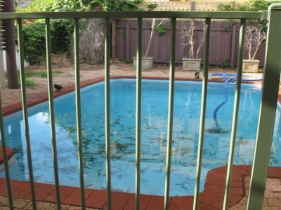 Maison avec piscine, s'il vous plait !