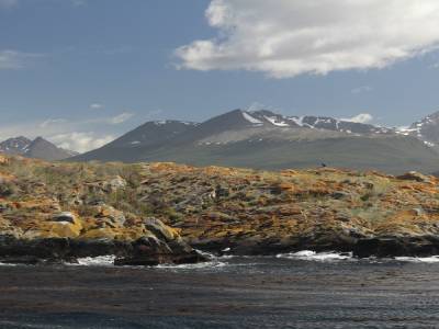 Canal Beagle