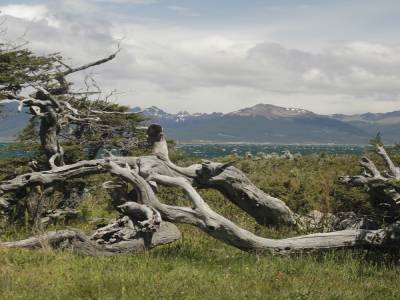 Canal Beagle